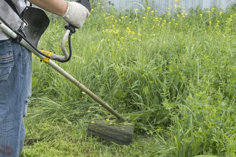 Jak ręcznie kosić trawę?